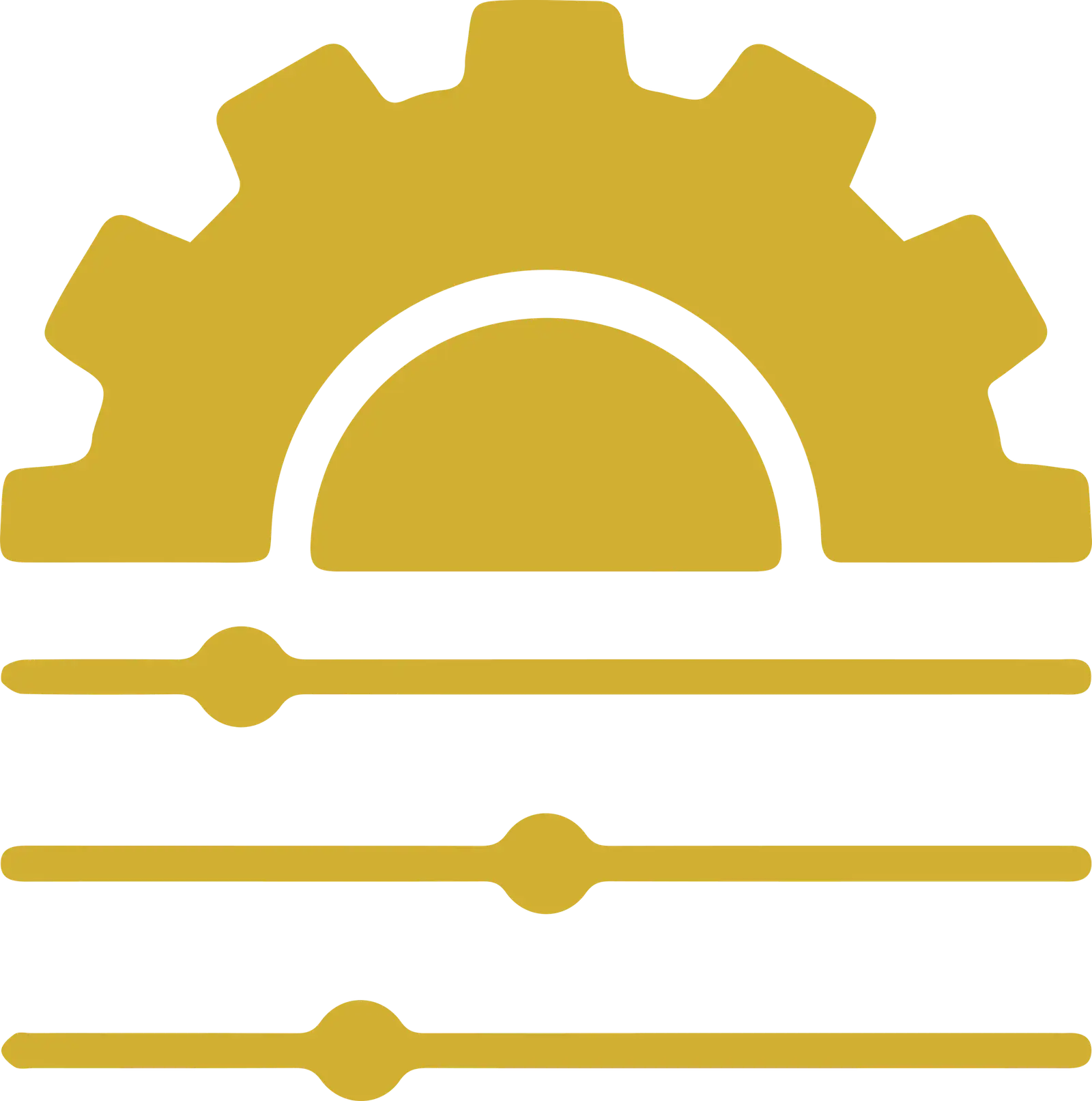 Final Adjustment and Overvie icons scaled